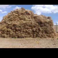 فروش یونجه
