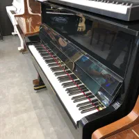 پیانو|پیانو، کیبورد، آکاردئون|کرج, اصفهانی‌ها|دیوار