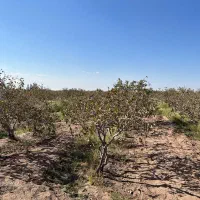 فروش آب کشاورزی