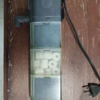 آکواریوم|ماهی|اردکان, |دیوار