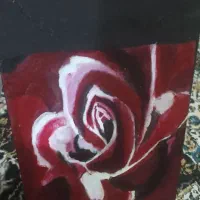 گل زیبا