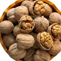 گردودخشک درجه یک