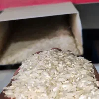 برنج کامفیروز|خوردنی و آشامیدنی|کامفیروز, |دیوار