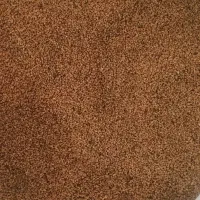 فروش بذر یونجه رنجر آمریکایی بوجاری شده درجه یک