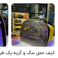 کیف حمل گربه و سگ کوچک|لوازم جانبی حیوانات|فسا, |دیوار