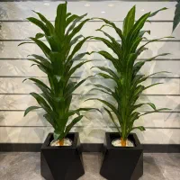 اولین مرکز تخصصی فروش  مصنوعی در گرمسار