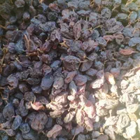 فروش انواع کشمش ، خریدار انواع کشمش|خوردنی و آشامیدنی|تاکستان, |دیوار