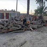 خریدار انواع درخت وچوب،هرس و برش با اره بنزینی|خدمات باغبانی و درختکاری|بندرعباس, |دیوار