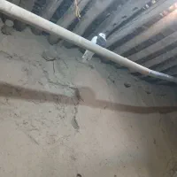 کفتر