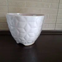 گلدان فیلودندرون برکین،گلدان سرامیکی|گل و گیاه طبیعی|تهران, فردوس|دیوار