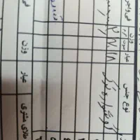 گوشواره طلا|جواهرات|زابل, |دیوار