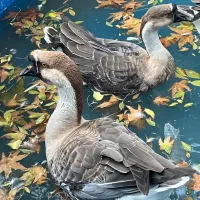 گروه ورزش یاخانوادگی رو بیار صفر تا صد با من