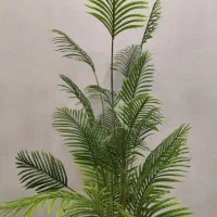 درختچه اریکا