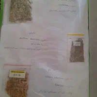 آلبوم کامل گیاهان دارویی|کتاب و مجله آموزشی|شیراز, قصرالدشت|دیوار