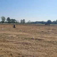 استخدام راننده بیل بکهو