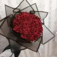 گل روبانی شاخه ای ۲۷