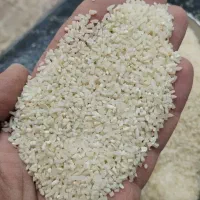 نیم دانه دودی هاشمی درجه یک