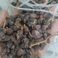 کشمش تمیز مخصوص..