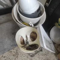 گلدان و زیر گلدانی