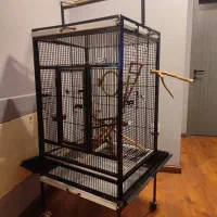 دو عدد قفس+وسایل بازی پرنده+کیف حمل پرنده