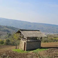 زمین کشاورزی