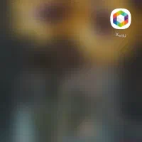 عروسک خارجی وقیمت مناسب