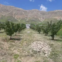 فروش فوری باغ به دربهترین جای کاکان|فروش دفتر صنعتی، کشاورزی، تجاری|یاسوج, |دیوار