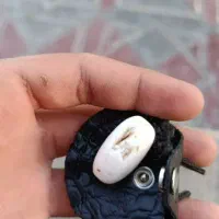 عتیقه|کلکسیون اشیاء عتیقه|ایلام, |دیوار