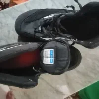 کفش ورزشی رودیس|کیف، کفش، کمربند|کردکوی, |دیوار