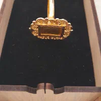 انگشتر شمش|جواهرات|جهرم, |دیوار