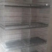 قفس‌حرفه ای