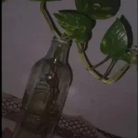 پِتوسِ اَبلَق