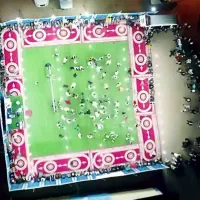 داربست مجالس عروسی