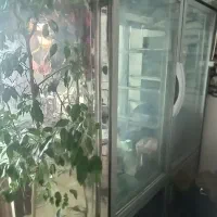 یخچال دو درب استیل رستورانی