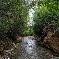 تور گروهی یکروزه دالان بهشت خراسان( امرودک زیبا)|تور و چارتر|مشهد, ده دی|دیوار