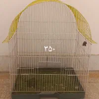 قفس،لونه،نردبان،ملزومات قفس پرنده