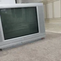 تلوزیون و دستگاه خورد کن