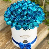 یک نیرو نظافتچی خانم نیازمندم