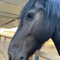 فروش در شرکت بسیار معتبر بین المللی