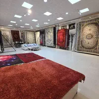 فرش افشون کاشان درارومیه|فرش|ارومیه, |دیوار