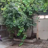 سویت وخونه دربست خانواده وکاروان