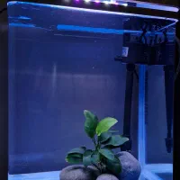 آکواریوم آماده