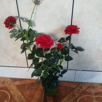 گل مصنوعی