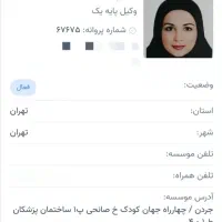 وکیل پایه یک دادگستری و مشاور حقوقی پورداد