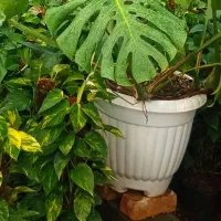 آموزش ریاضی با قیمتی استثنایی