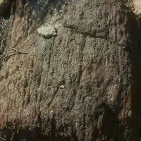 شهاب سنگ فروشی با پوسته کاملا سوخته|جواهرات|منوجان, |دیوار