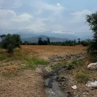 زمین کشاورزی واقع در زراع محله