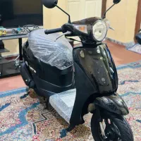 پاکشتی وینو