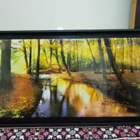 تابلو دکوری|تابلو، نقاشی، عکس|کرج, کوی کارمندان جنوبی|دیوار