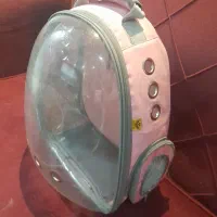 تعدادی جای خواب و ساک و کوله پشتی حمل گربه یا سگ|لوازم جانبی حیوانات|تهران, نیاوران|دیوار